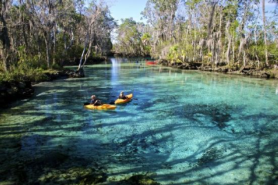 Crystal River National Wildlife Refuge