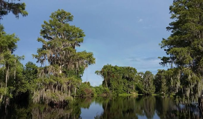 Flying Eagle Preserve