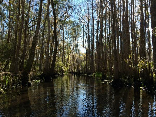 Ney Landrum State Park